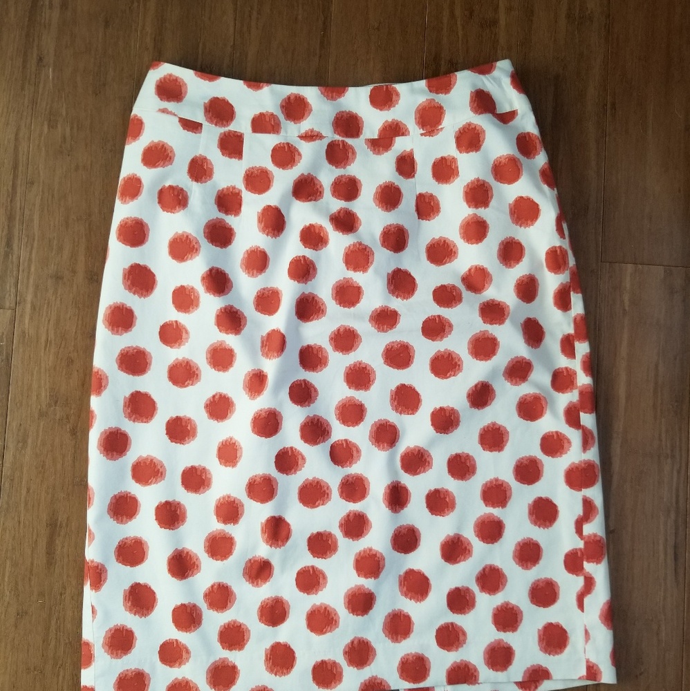 Anthropology Lined Knee-length Skirt